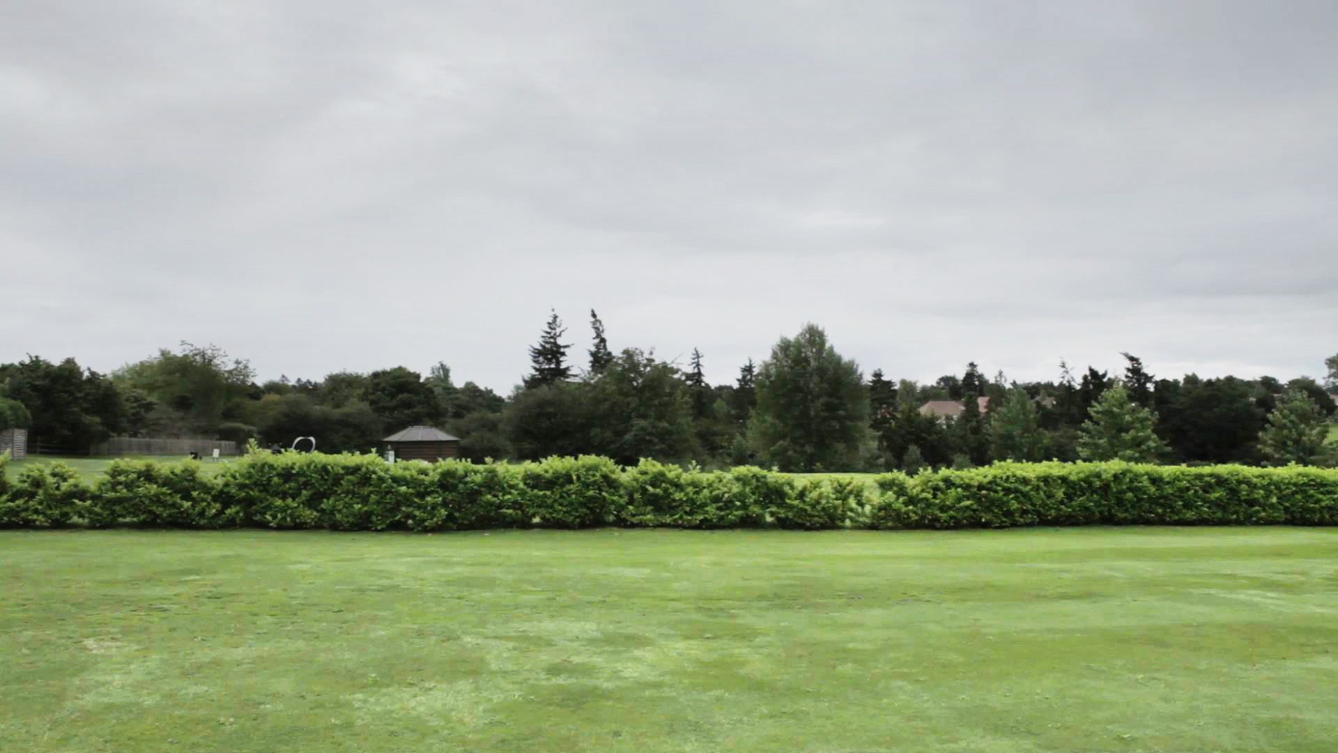 golf club hedge_